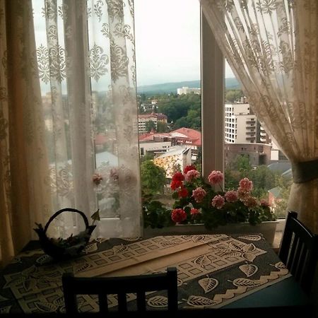 Sunny Apartment In The City Center トラスコヴェッツ エクステリア 写真